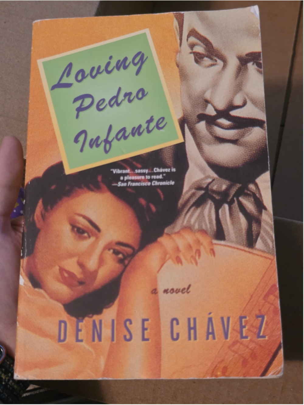 Washington Square Press Loving Pedro Infante Book